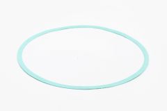 426401-006 Casing Gasket for Armstrong Pumps
