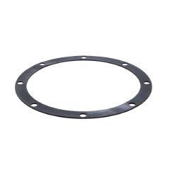 C20-46B Adapter Gasket for Pentair Sta-Rite Pumps